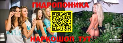 гашик Краснодар