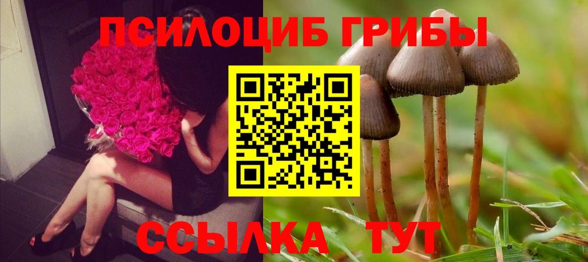 Псилоцибиновые грибы Magic Shrooms  Вход с VPN  Лобня 